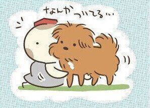 連載「こぐま犬てんすけ」vol.103