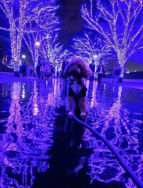 青の洞窟