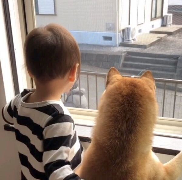仲良く外を眺めるももかちゃんと妹ちゃん