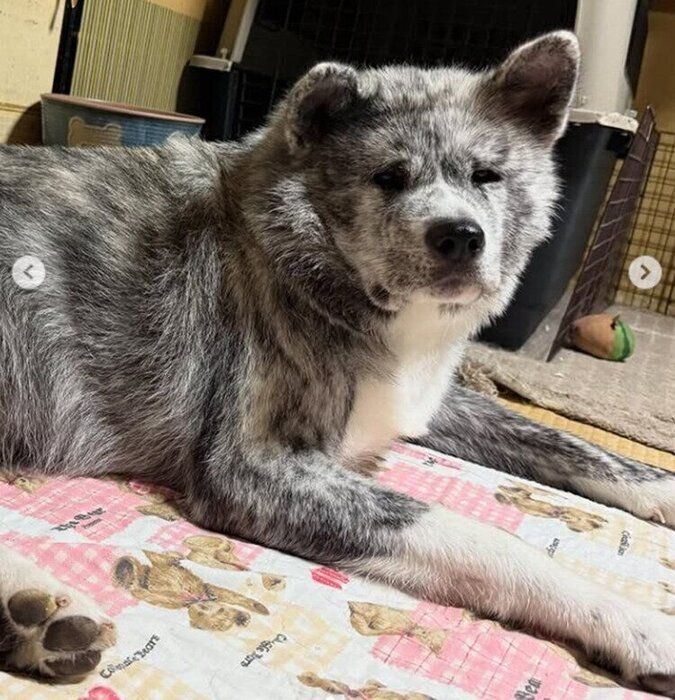 カメラ目線の紫遥ちゃん