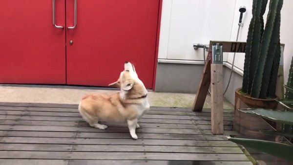 ドローン