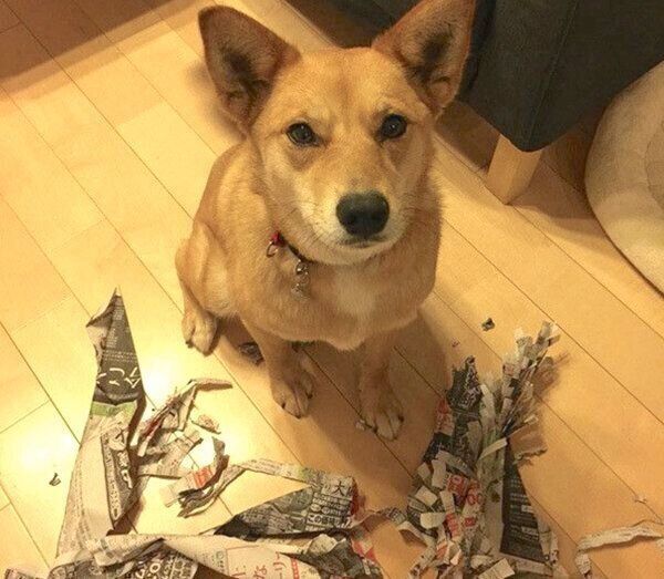イタズラをする柚ちゃん