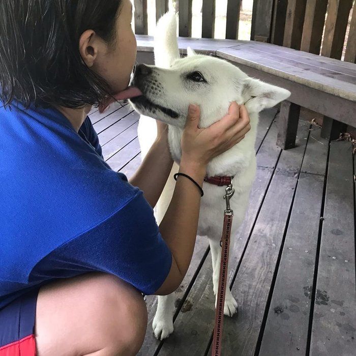 飼い主さんの娘さんをペロペロするののちゃん