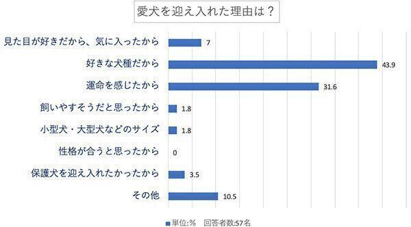 愛犬を迎え入れた理由は?