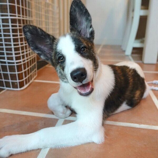 ̱Ȥθޤ줿λҸ²˷ޤ6ǯвᡢֲ²ΰȤơȤƤڤ¸ߡפˡ