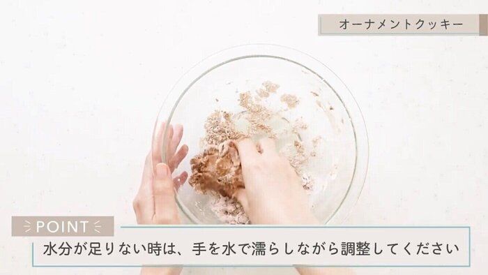【SNSでも大人気!】カンタン!おうちで作れる犬のおやつレシピ(かぼちゃとキャロブのオーナメントクッキー