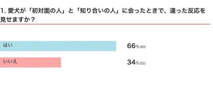 いぬのきもち チャンスイット