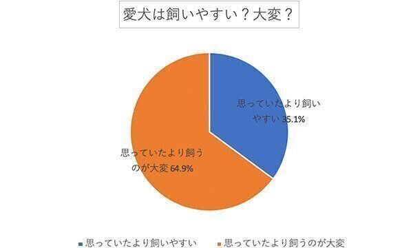愛犬は飼いやすい? 大変?