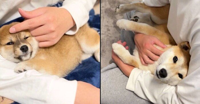 “パパっ子”全開なつくねちゃん
