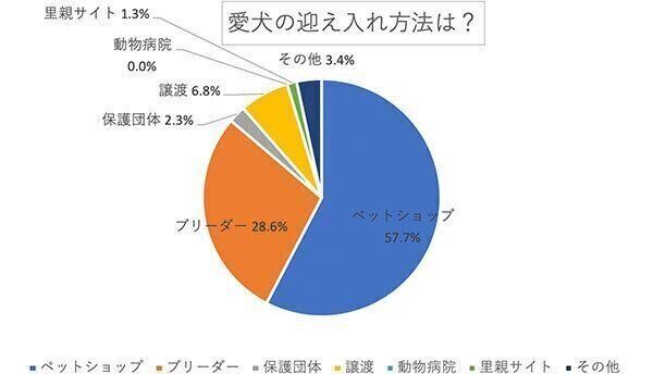 愛犬の迎え入れ方法は?