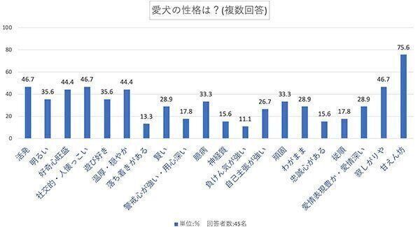 愛犬の性格は?