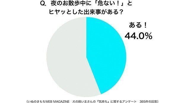 グラフ:夜のお散歩中に「危ない!」とヒヤッとした出来事がある?