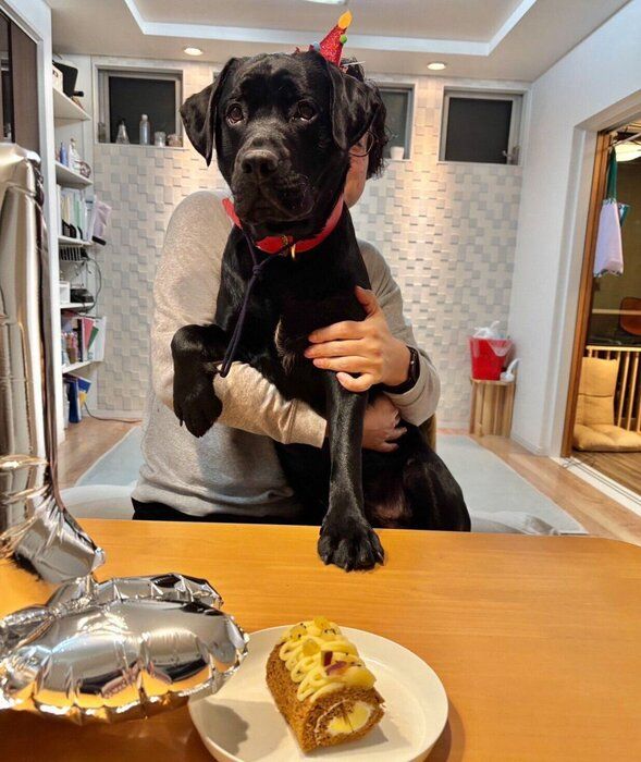 1才になったアポロくん