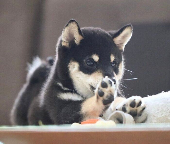 ֤Τӡפ򸫤뤷İƤλҸ5ǯ塢ȰɤïˤǤ⿴򳫤ͥĹ