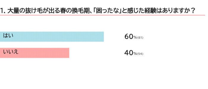 春の換毛期の困りごとは？