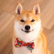 Rwkfhasqec6osm Rwkfhasqec6osm