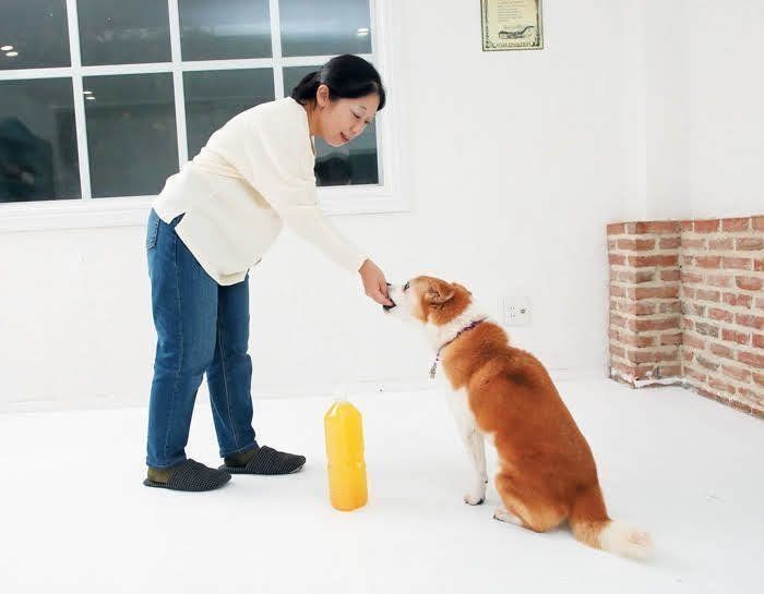 ごほうび