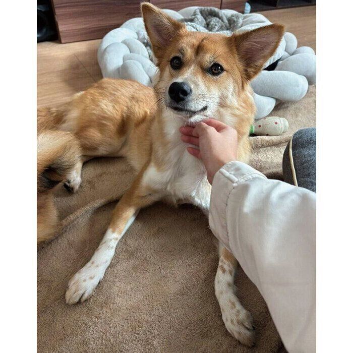 �ޤä��ꤹ��ʤΤ����