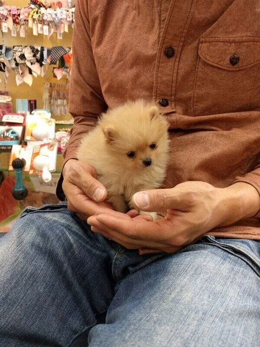 ぽぽちゃんと初対面したときの様子