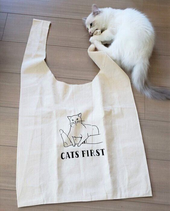 こちらももちろん「ねこのきもちバージョン」あります!