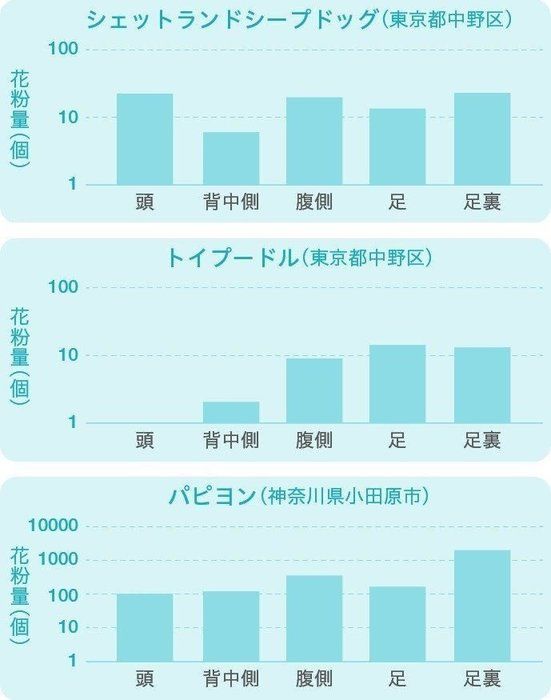 犬に付着する花粉についてのグラフ