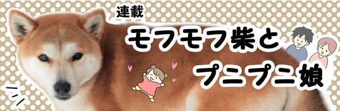 【最終回】みなさんに感謝をこめて卒業式|連載「モフモフ柴とプニプニ娘」第287話