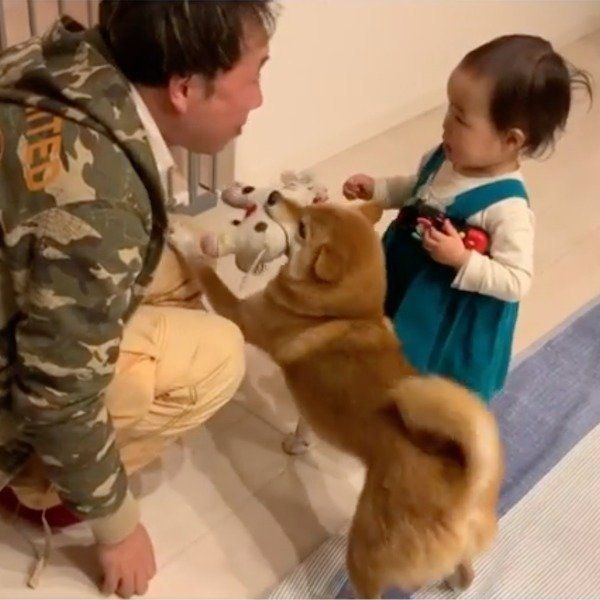 パパさんの帰宅を喜ぶ花子ちゃんとモモ子ちゃん