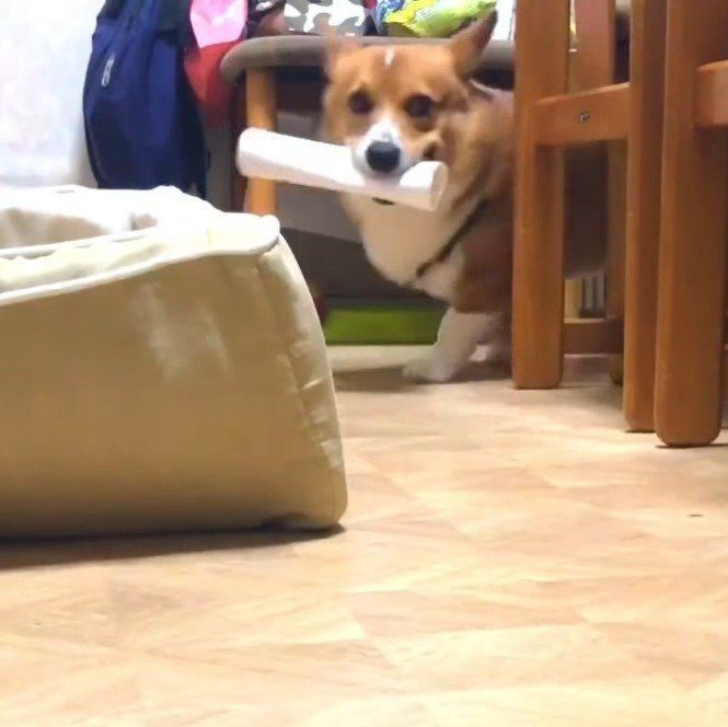 逃げるコナン君