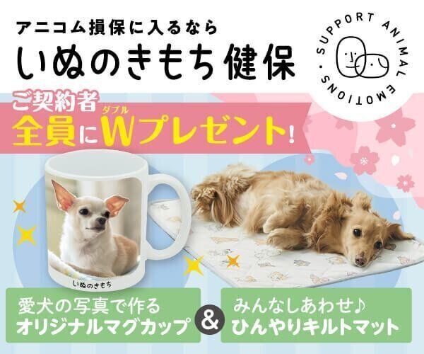 いぬのきもちWEB MAGAZINE｜もっと犬が好きになる。