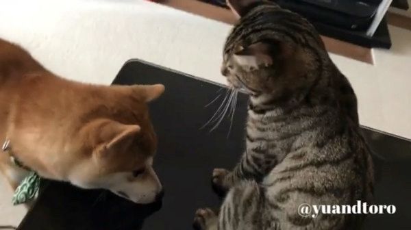 心配しているゆうくん