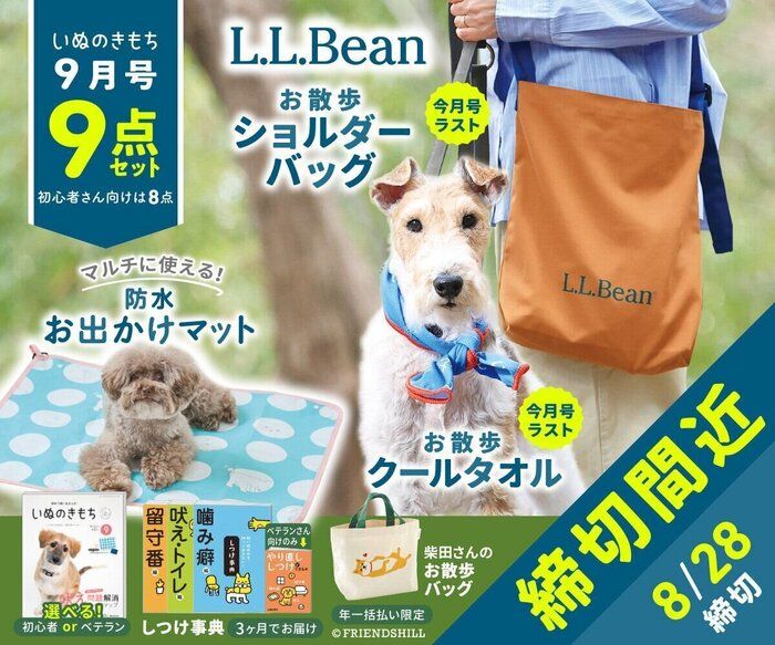 いぬのきもち(2020.3〜2022.2) いぬのきもちWEB MAGAZINE｜もっと犬が好きになる。