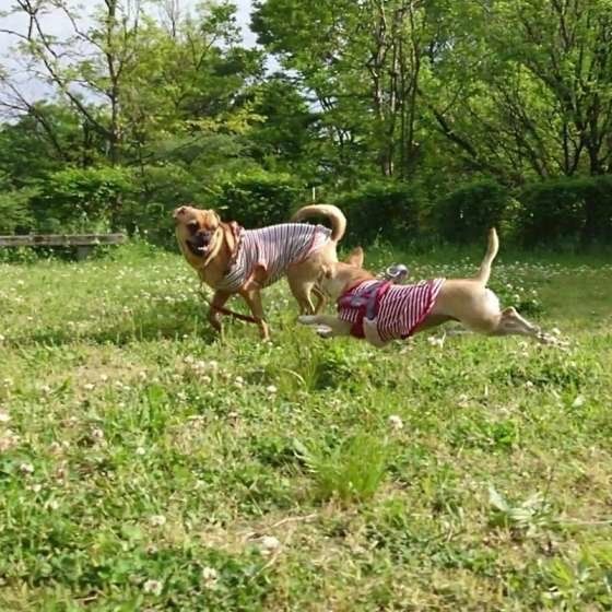 仲良し