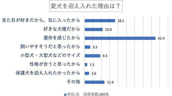 愛犬を迎え入れた理由は?