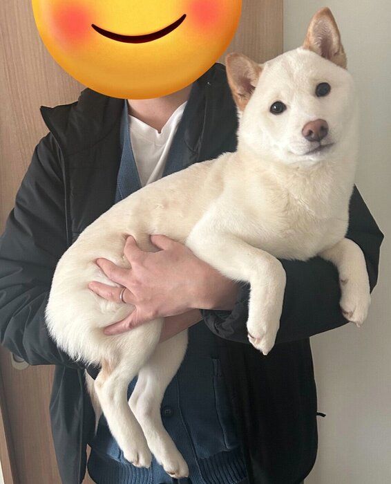 生後6カ月のころのつむぎくん