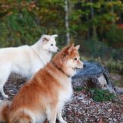 Wbyrb3i Ttwwsm Wbyrb3i Ttwwsm