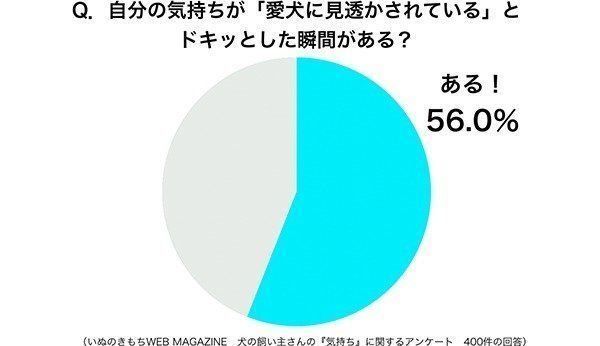 グラフ:自分の気持ちが「愛犬に見透かされている」とドキッとした瞬間がある?