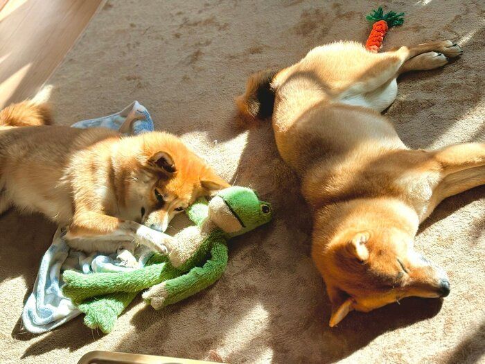 ���䤫�ʻ��֤�ᤴ���ʤΤ���󡢤ޤ������