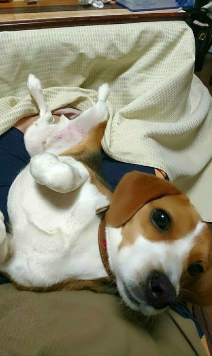 宙ちゃん