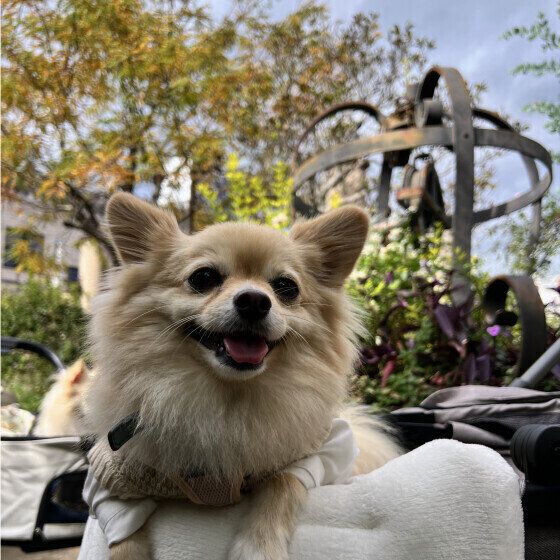 λϸνա ΤΤɤθϸ˴ ̤Τ