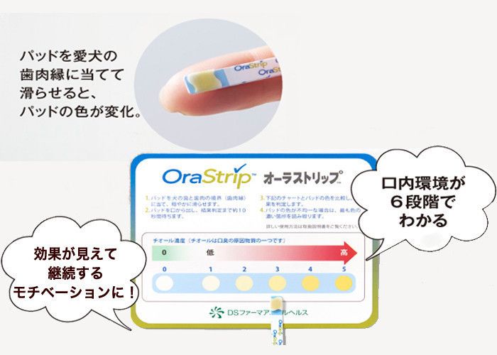 歯垢を取り除きやすいパパイン酵素を配合。