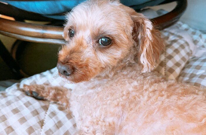 キレイな瞳が印象的な1枚