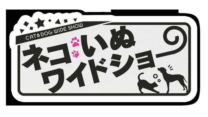 ネコいぬワイドショー