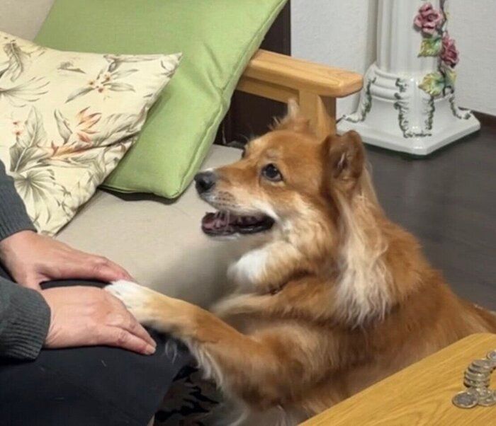 ����Ĥ򤪤ͤ��ꤹ���Ƥ����