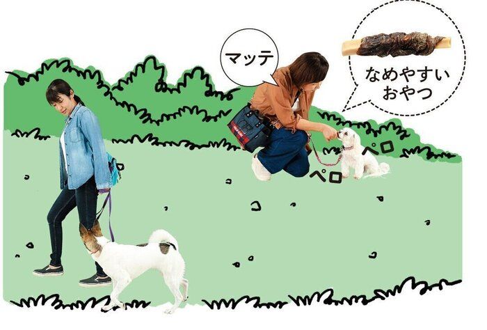 可能であれば、河川敷や公園など開けた場所で散歩すると、愛犬のストレスも軽減できます
