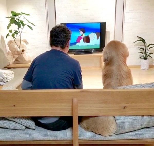 パパさんとテレビを見るアランくん