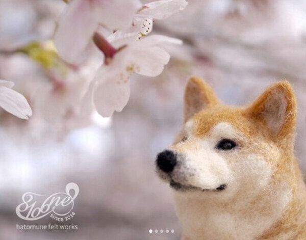 「こけしばPremium」