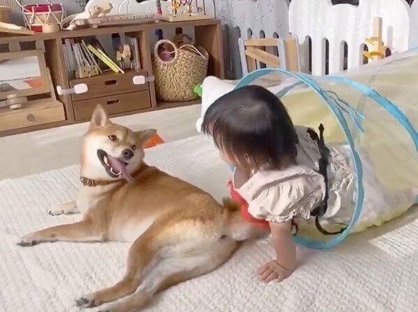 妹ちゃんと見つめるりんご郎くん