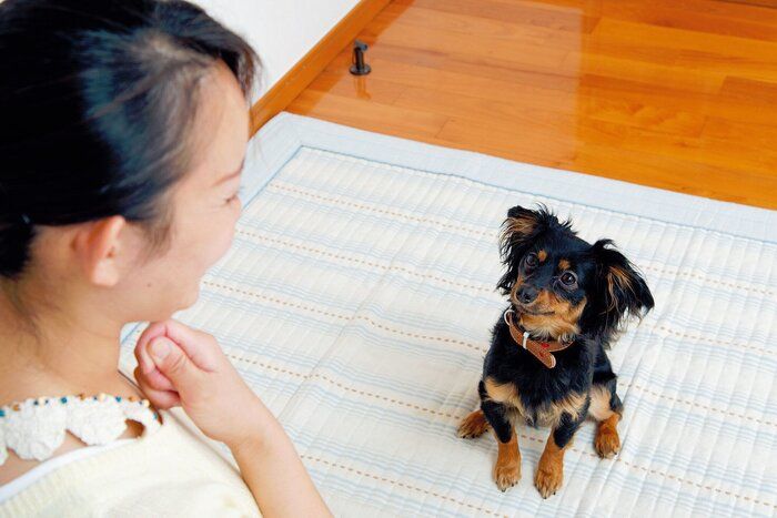 「こっち見て!」というときに使う言葉です