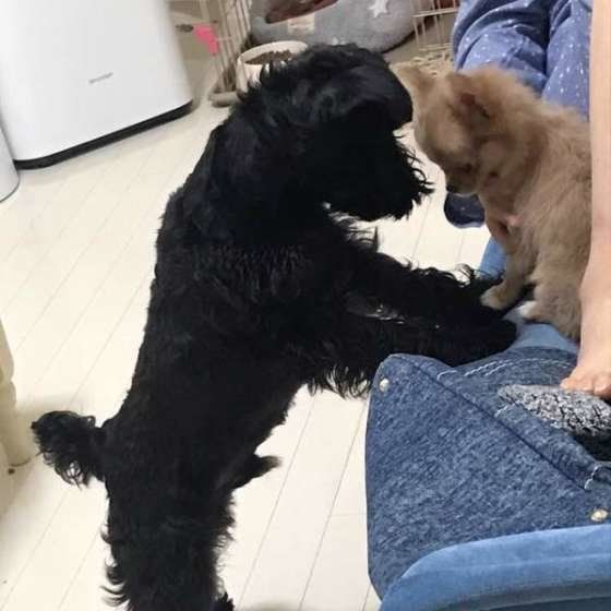 友達