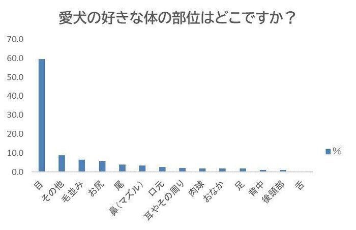 愛犬の好きな体の部位は？
